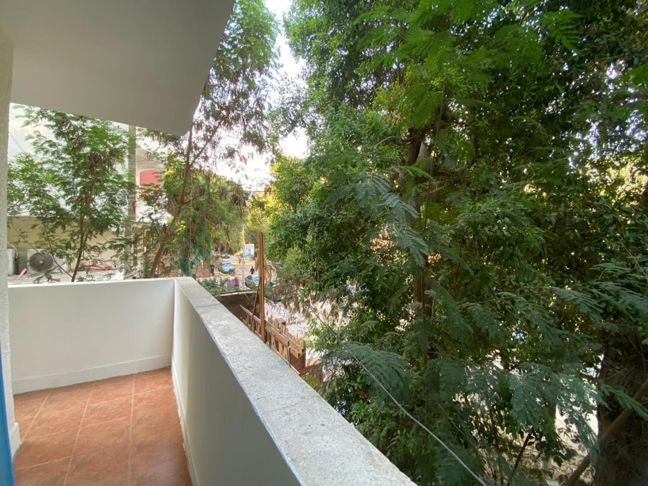The Treehouse Apartment