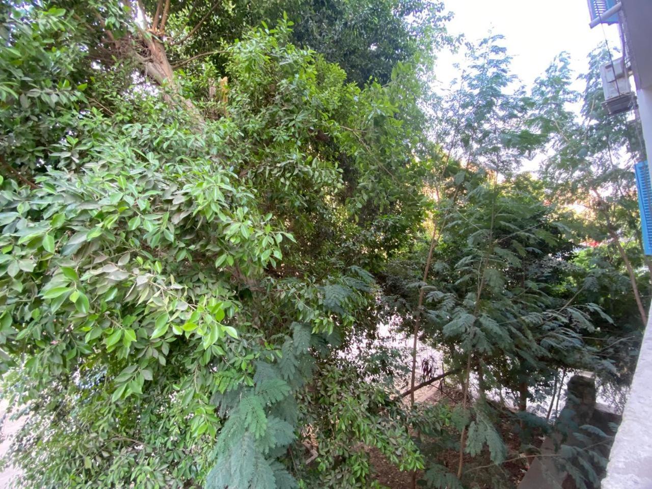 The Treehouse * Il Cairo